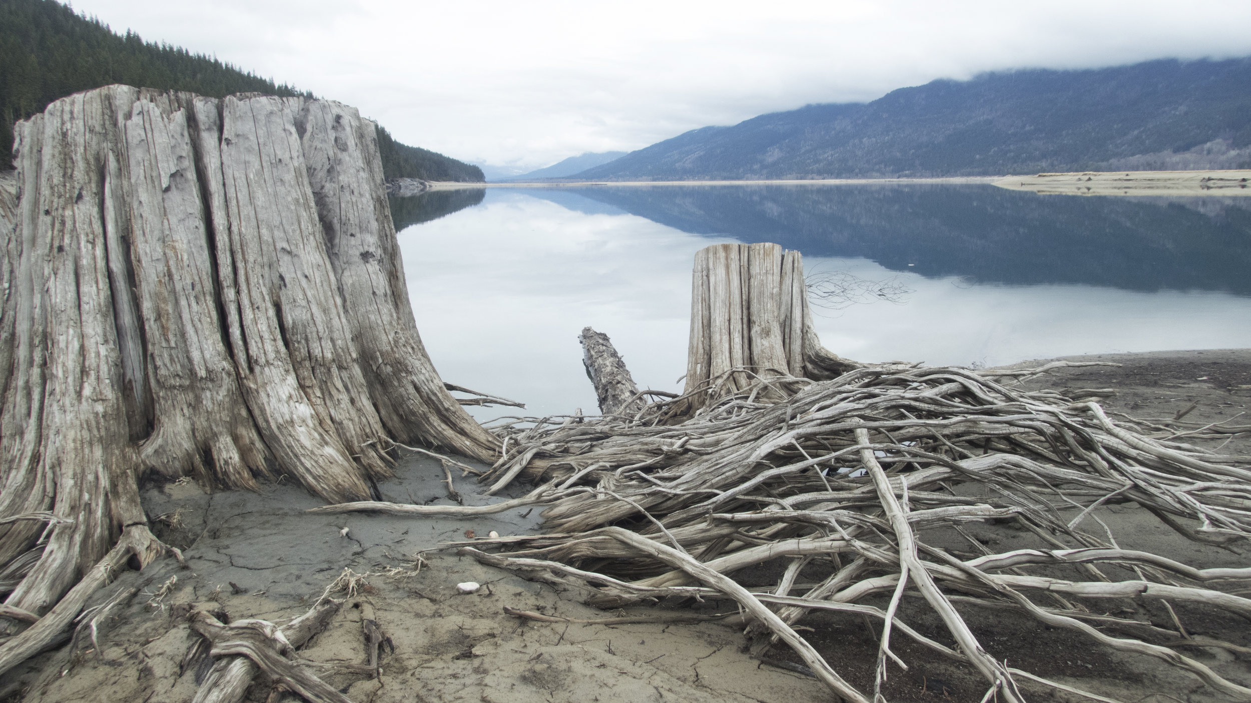 Upper Arrow Reservoir, BC | Video Still | 2017