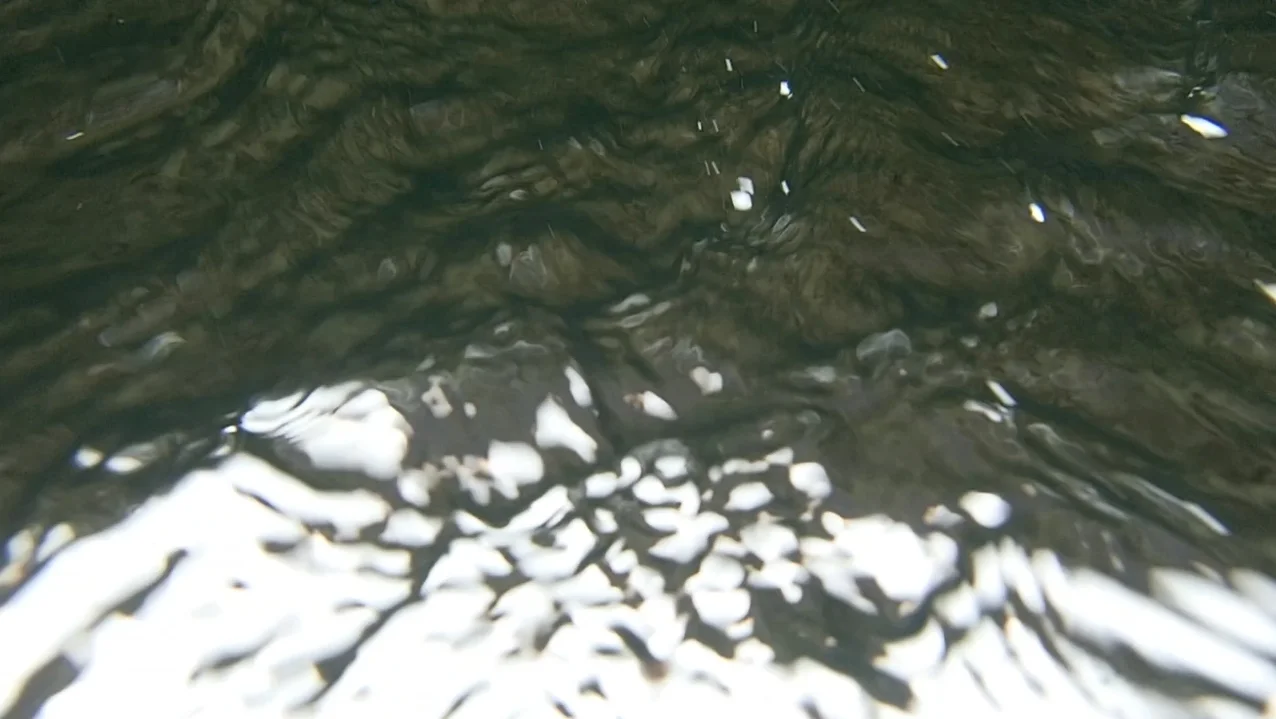 Video Still from Underwater | 2017