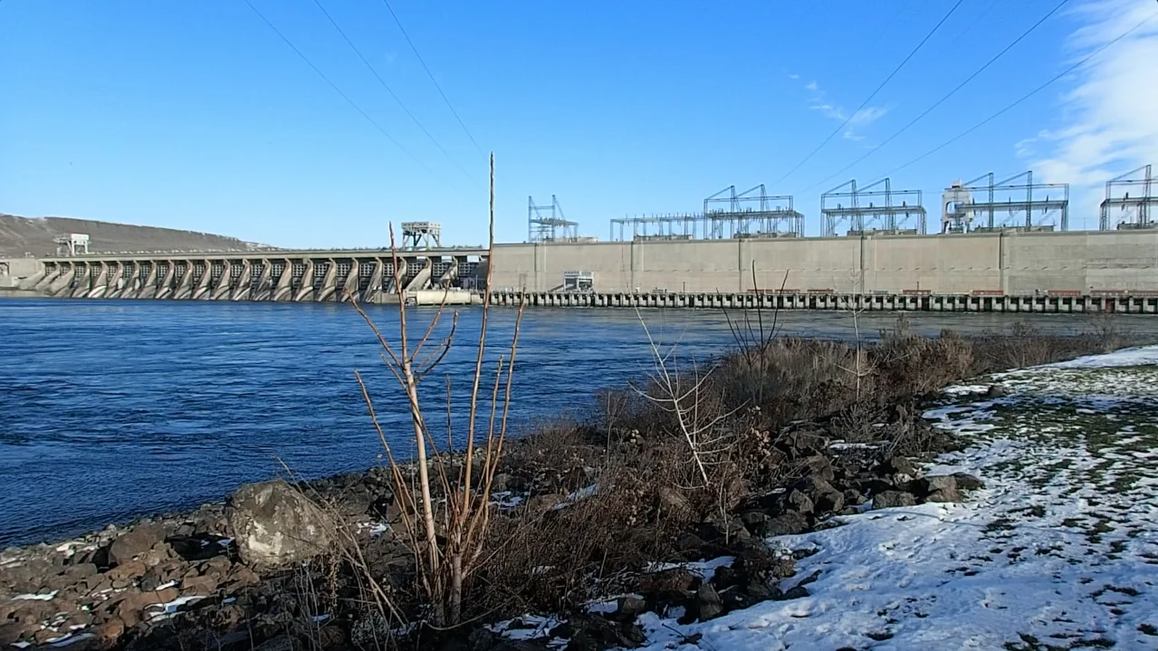 McNarry Dam, WA | Video Still | 2017