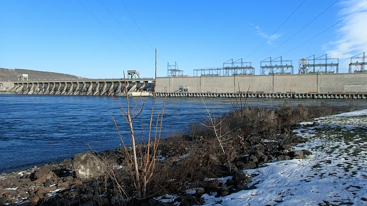 McNarry Dam, WA | Video Still | 2017