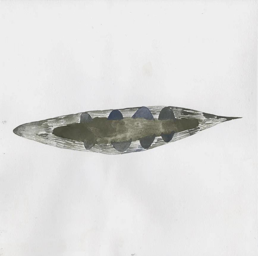 029 (Navicular Diatom) | Handmade silt-based watercolour on paper | 11 x 11" | 2017