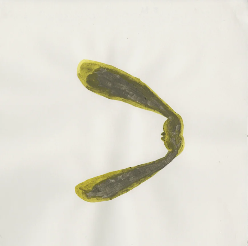 019 (Seedpod) | Handmade silt-based watercolour on paper | 11 x 11" | 2017