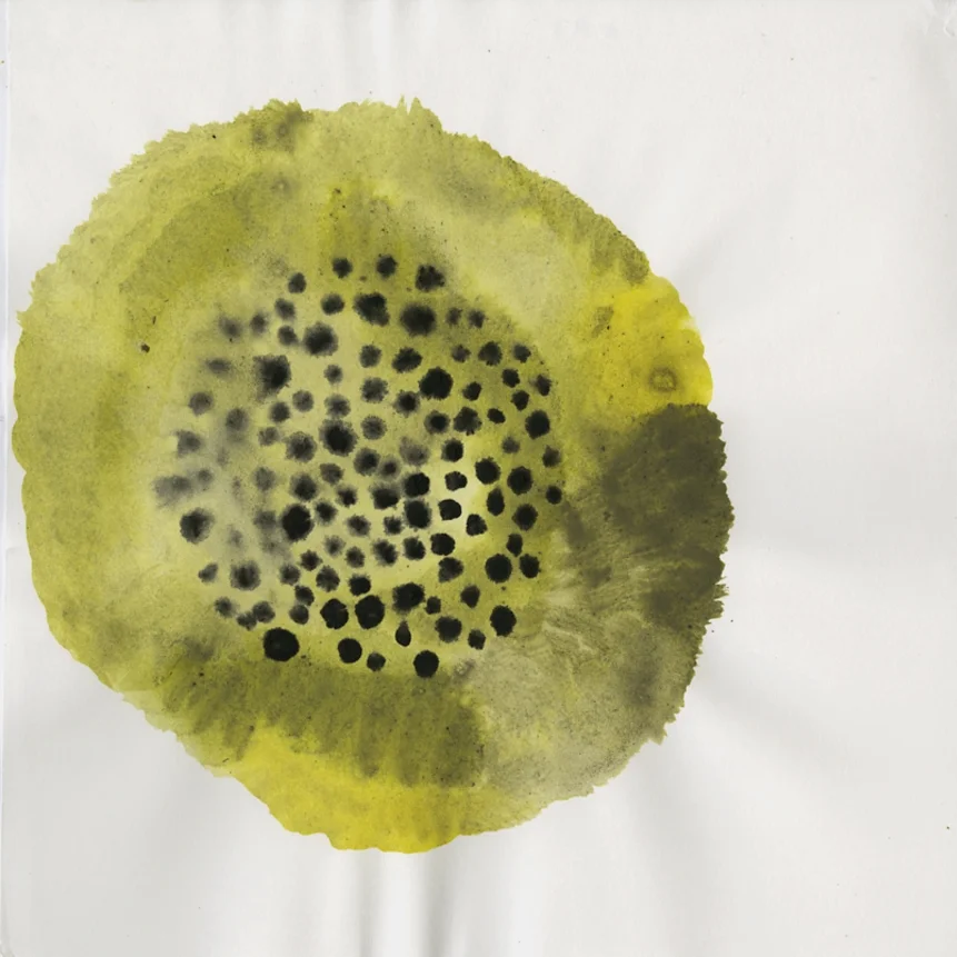 020 (Coelosphaerium) | Handmade silt-based watercolour on paper | 11 x 11" | 2017