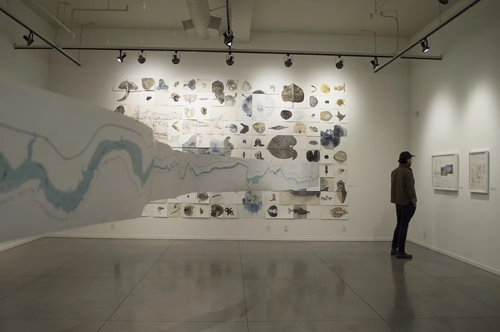 Installation Shot | Touchstones Museum, Nelson BC | 2017