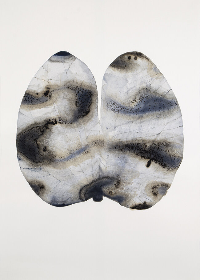 Bladderwrack , bitumen, coal, seawater and gouache on paper, 30 x 44”, 2017 Photo: Blaine Campbell