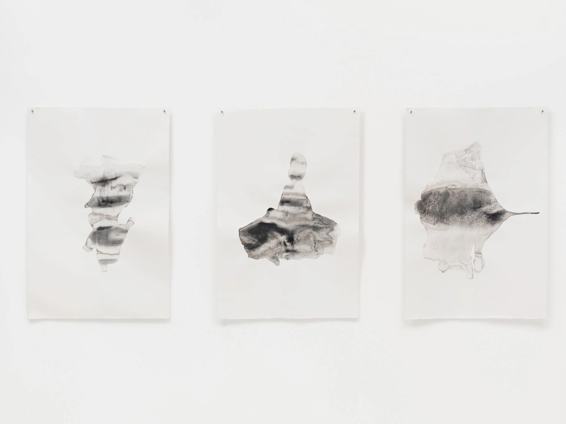 Installation view, Carbon Study: Walking in the Dark (12 January - 23 February) Access Gallery, Vancouver BC, 2019. Photo: Rachel Topham Photography