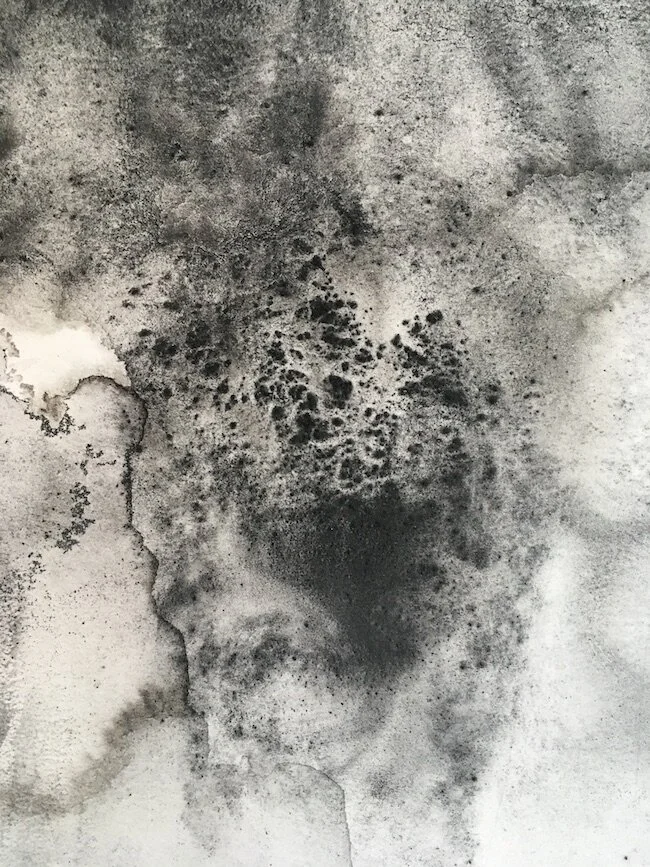  Detail, C arbon Study: Walking in the Dark,  found coal, forest fire-derived charcoal and graphite on paper, 2019   