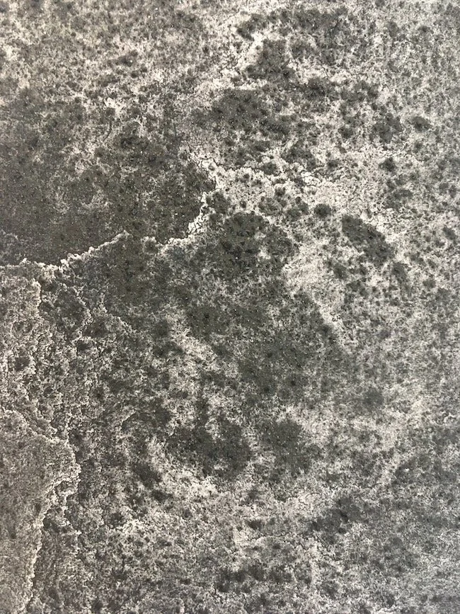  Detail,  Carbon Study: Walking in the Dark , found coal, forest fire-derived charcoal and graphite on paper, 2019   
