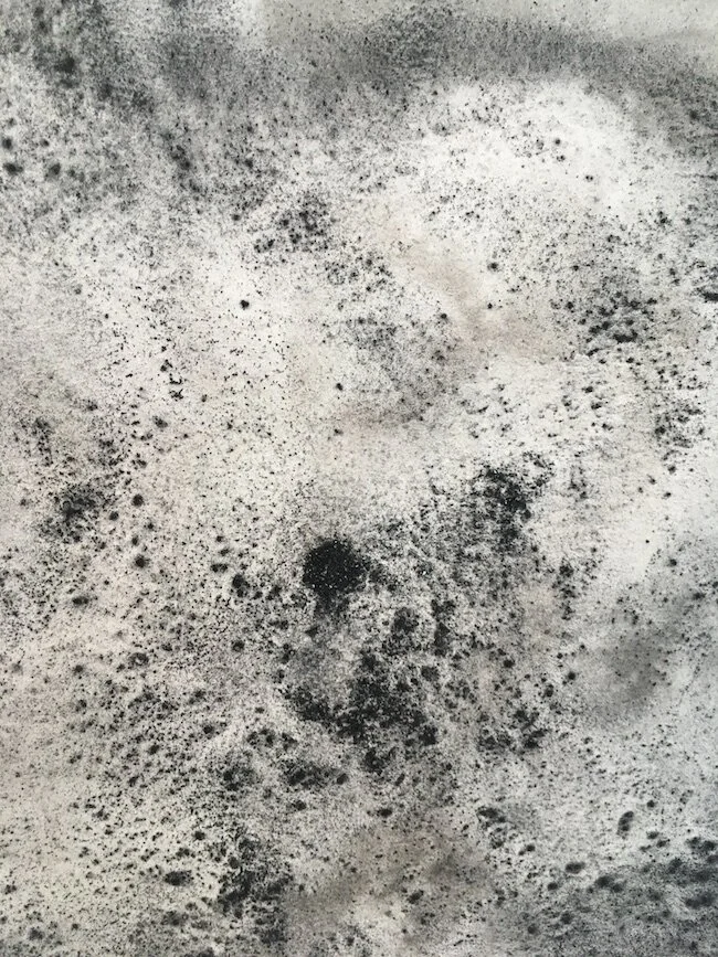  Detail,  Carbon Study: Walking in the Dark,  found coal, forest fire-derived charcoal and graphite on paper, 2019   