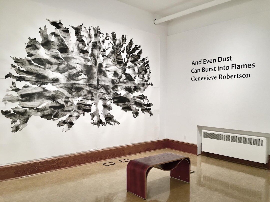  Installation view,   And Even Dust Can Burst Into Flames  (30 January-24 April 2021), Grand Forks Art Gallery, British Columbia.     