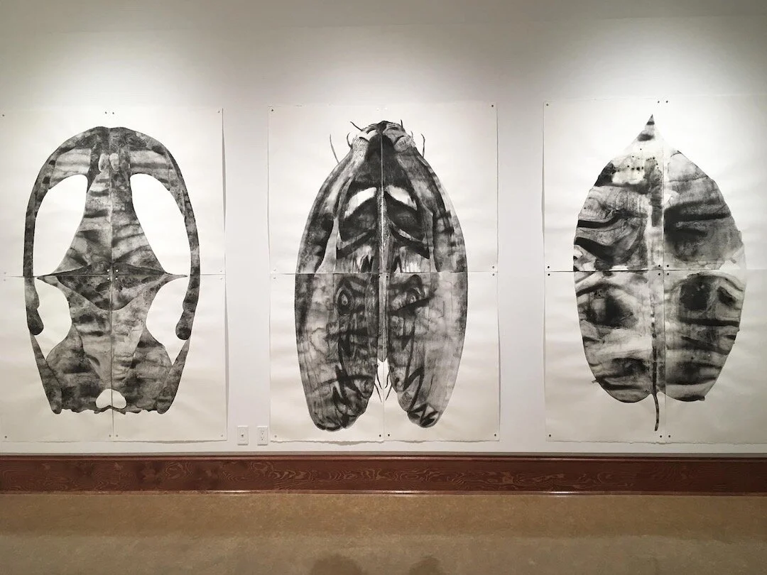  Left to right:  Amphibian,  found coal, graphite and forest fire-derived charcoal on paper, 88” x 60”, 2020;  Soot Moth,  found coal, graphite and forest fire-derived charcoal on paper, 88” x 60”, 2021;  Broad Leaf ,  found coal, graphite and forest