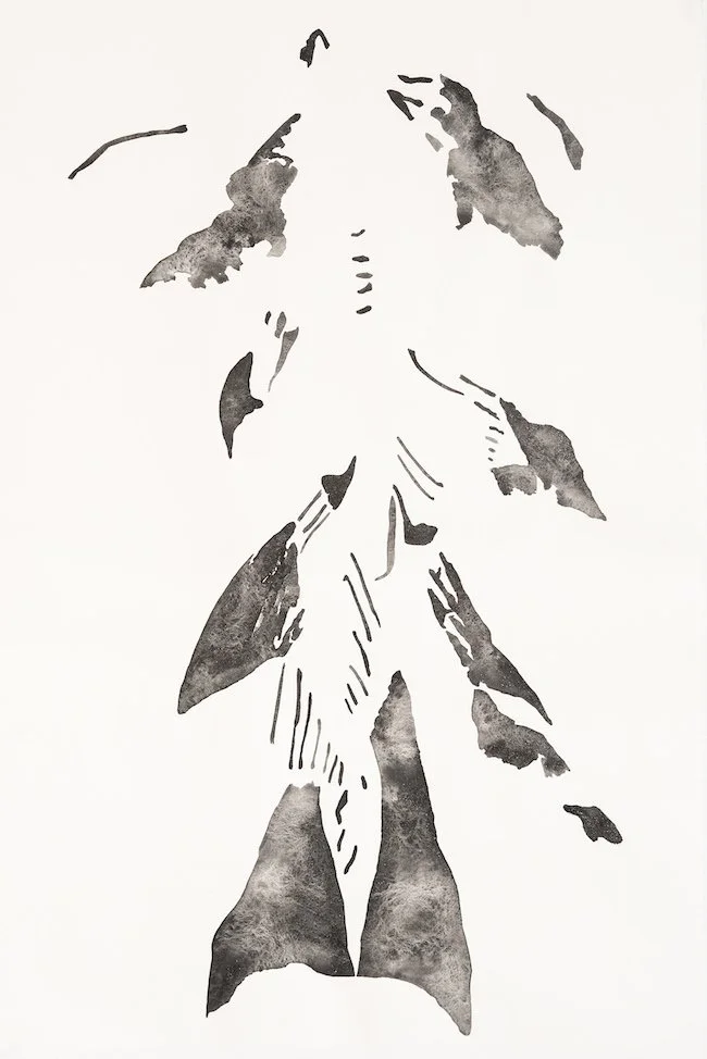 Sockeye Fragment, found coal (from Elkview Operations, Crowsnest Highway, BC), found graphite (from Eagle Graphite Operations, Slocan Valley, BC) and wildfire-derived charcoal (from Lemon Creek Wildfire site, BC) on rag paper, 30’’ x 44’’, 2020
Image