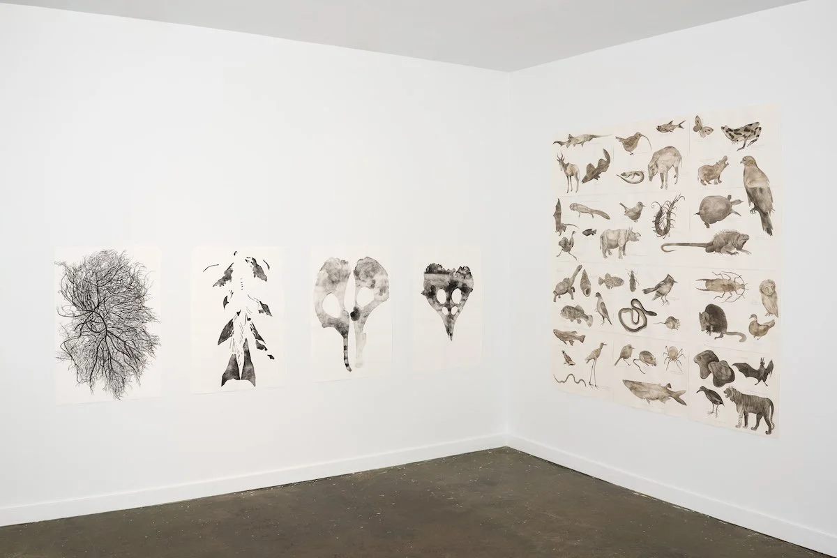 Installation view, And Even Dust Can Burst Into Flames, 2021 Photo: Kenton Doupe