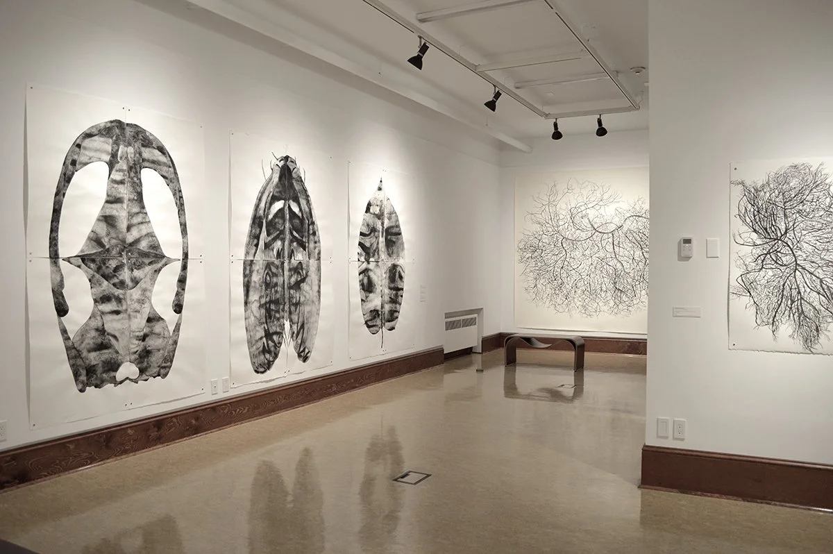  Installation view,   And Even Dust Can Burst Into Flames  (30 January-24 April 2021), Grand Forks Art Gallery, British Columbia.   