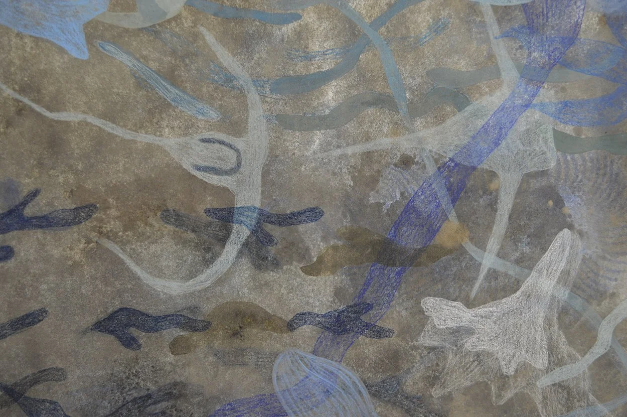   Biome (estuary) , detail, 2024   