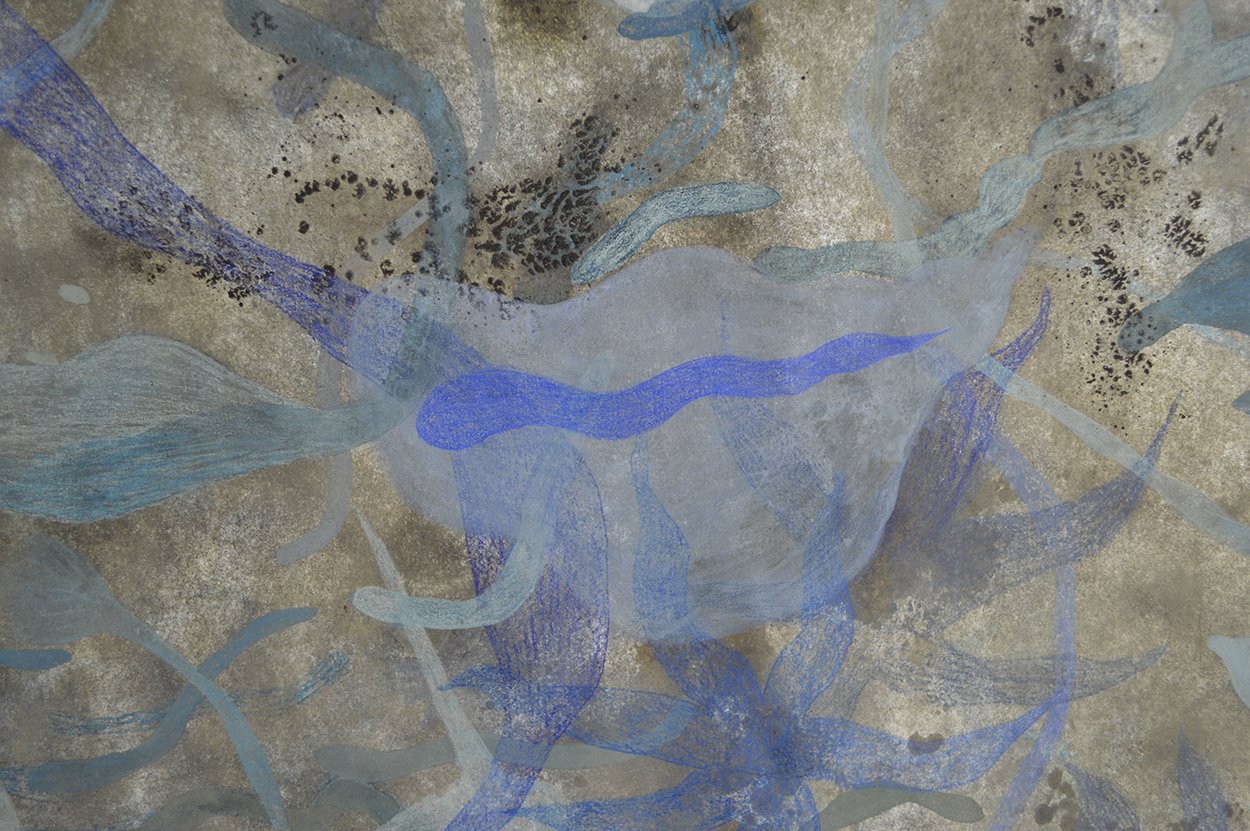   Biome (estuary) , detail, 2024   