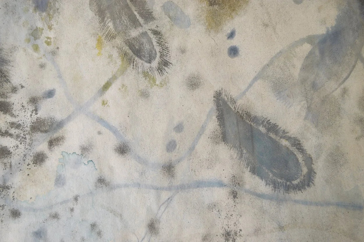   Biome (estuary) , detail of back, 2024   