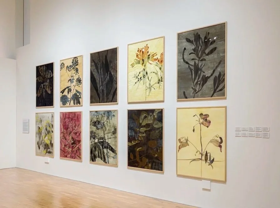 Installation view, Under the Orange Sticks of the Sun (25 April- 5 July, 2026), Midlands Arts Centre, Birmingham UK.

Photo: Tegan Kimbley