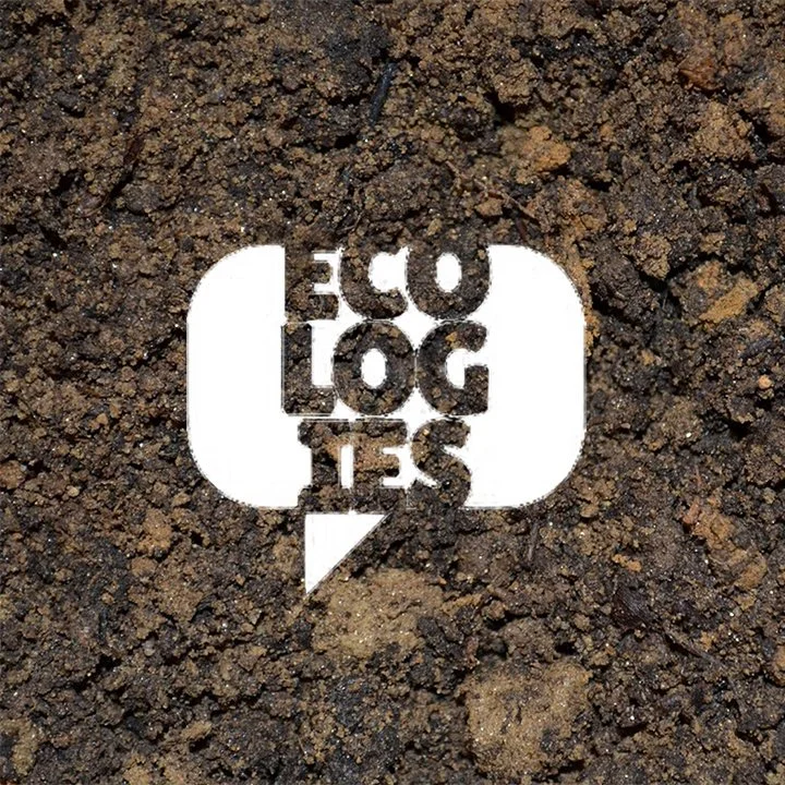 A speech bubble cutout in the soil with the words 'ECO LOGIES' written inside in white letters.