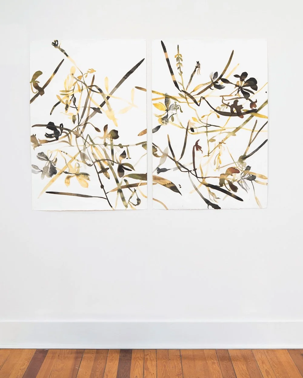 Installation view, Fireweed, ɬəɬqmiɬp / ɬəɬqiɬəml̓x, (Epilobium angustofilium). Ink and paint made from magenta, fireweed, charcoal, carbonized soil, ochre rich soil, and saddened goldenrod on rag paper. Materials collected at Monument Creek Wildfire