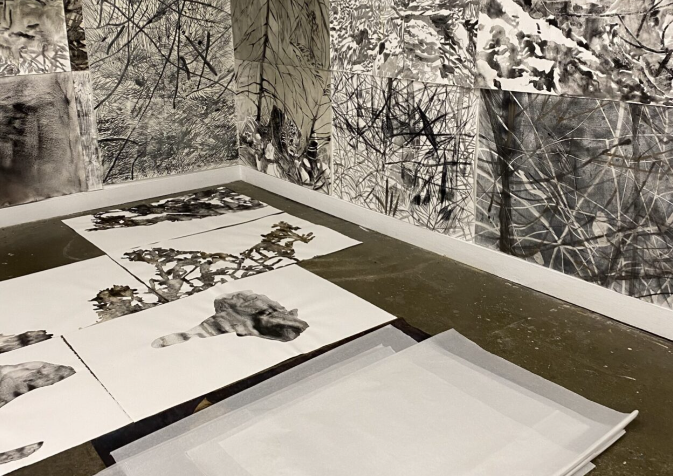 An art installation featuring black and white photographs of printmaking / drawing / painting installation.