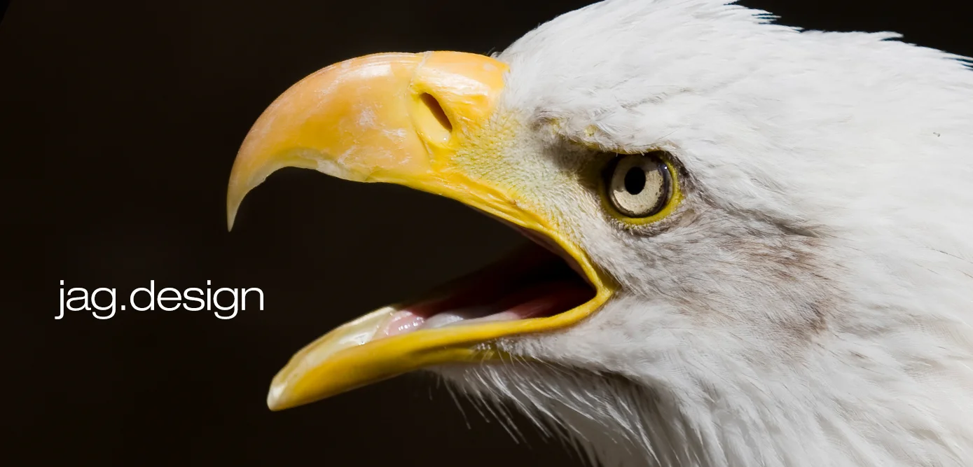 jag_webfbcover_eagle.jpg