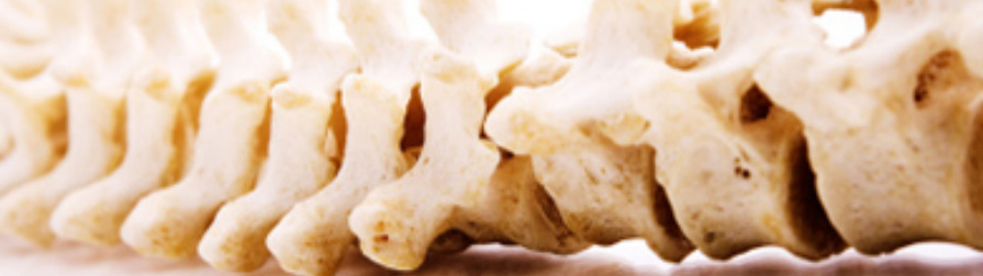 Uxbridge Chiropractic Clinic offers chiropractic, sports and remedial massage therapy, reflexology, Pilates, podiatry and chiropody to help you stay healthy. 