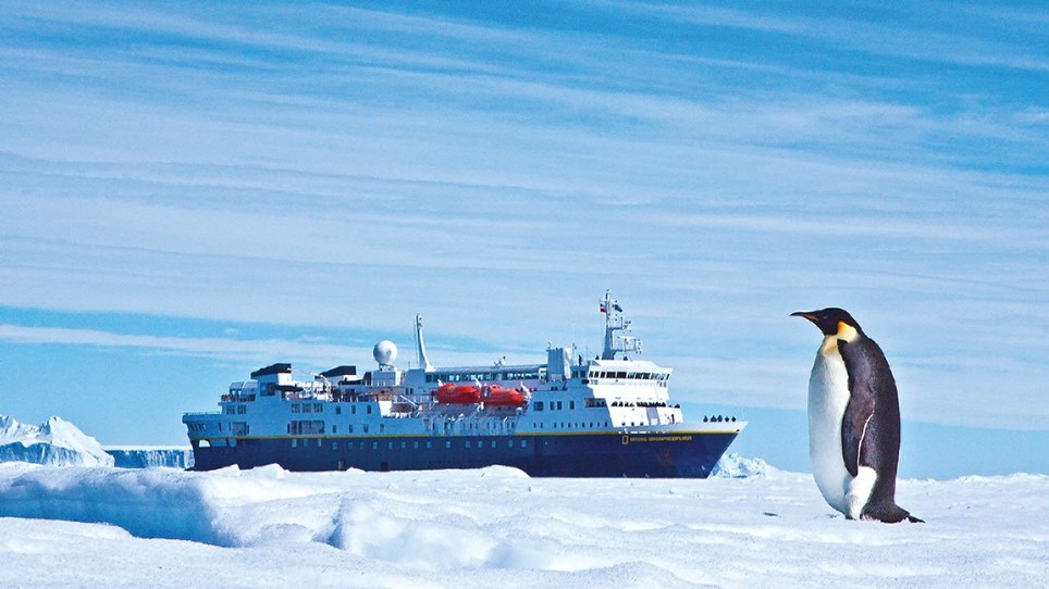 Explorer Penguin Pose.jpg