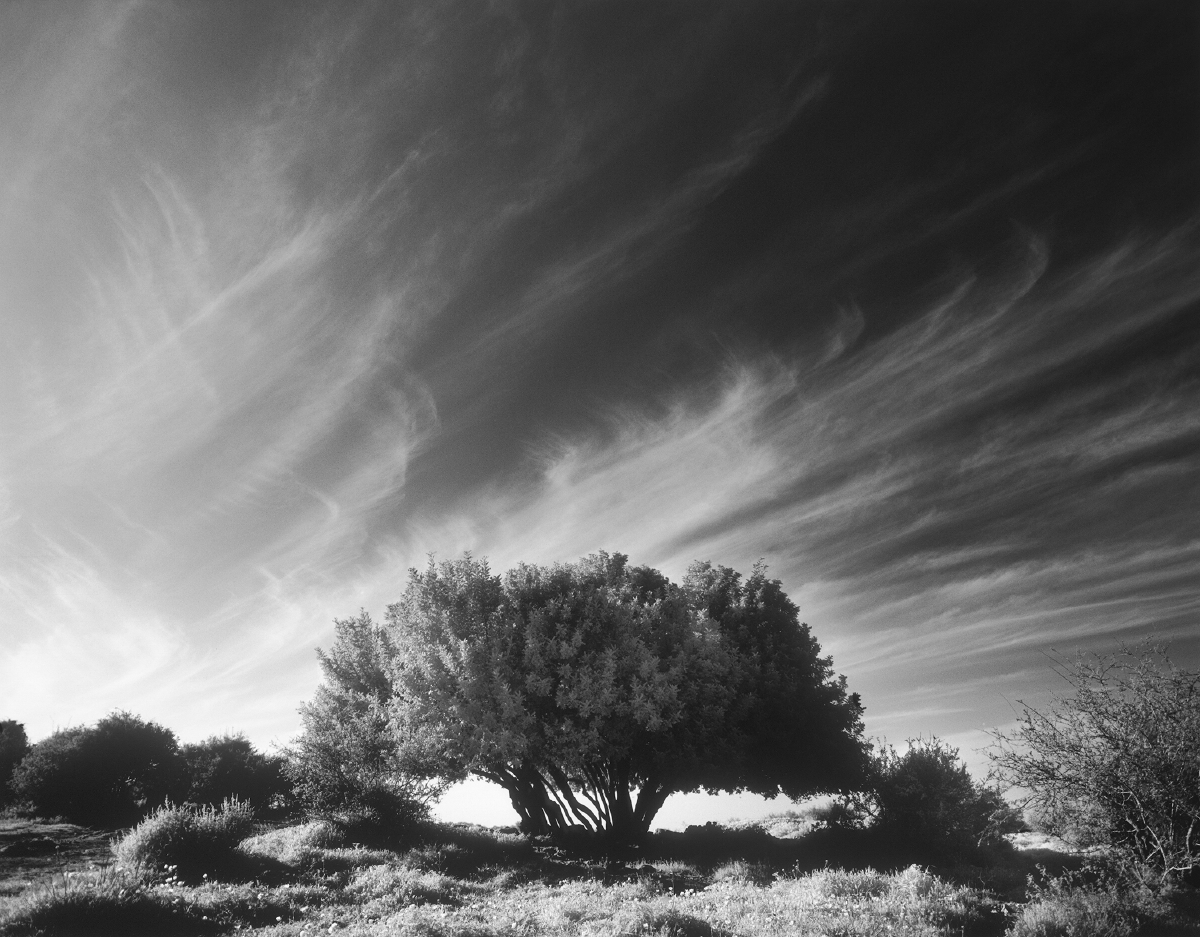 israel_05_20