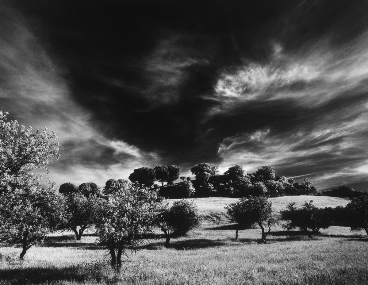 sicily_05_7