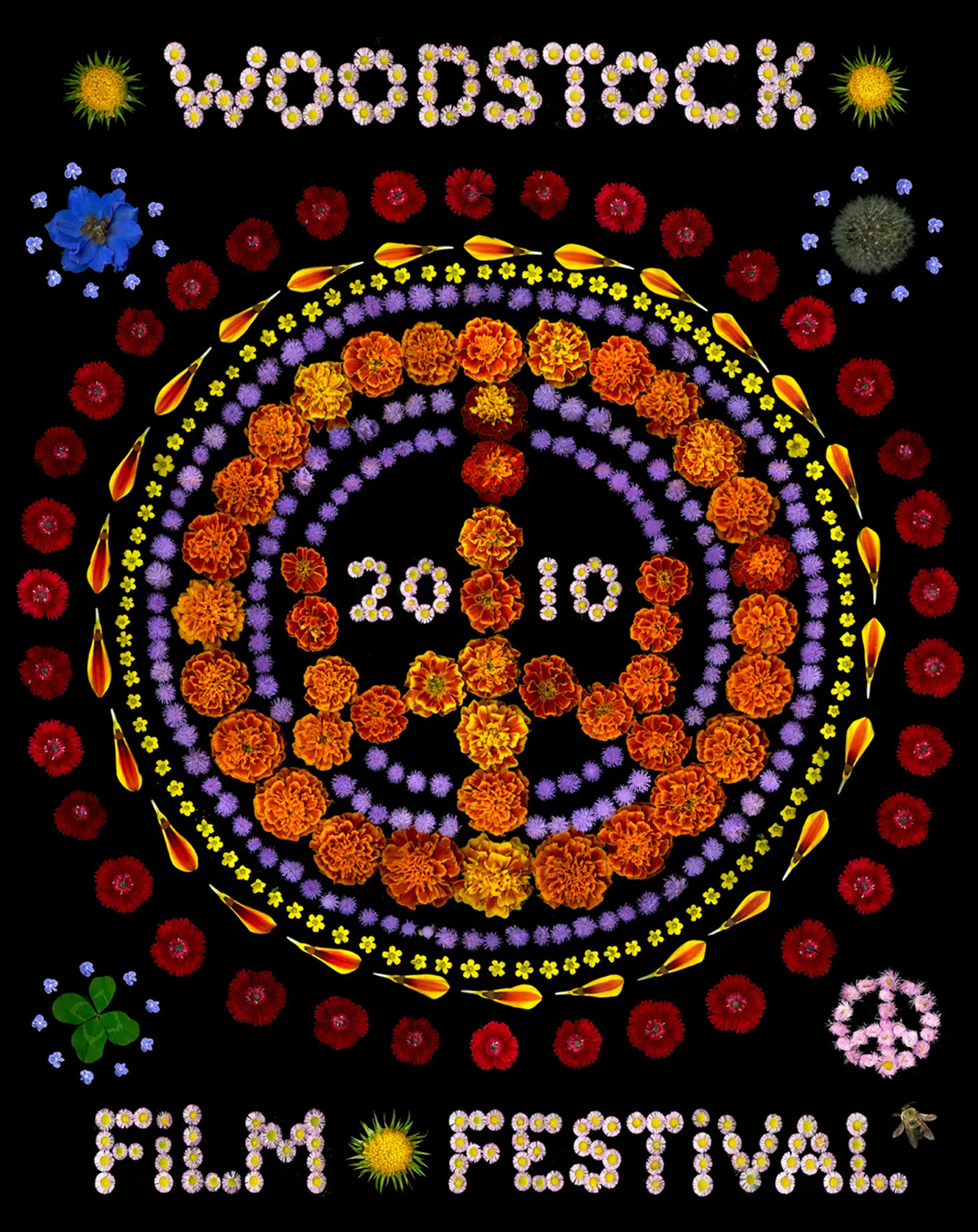 2010 Woodstock Film Festival poster