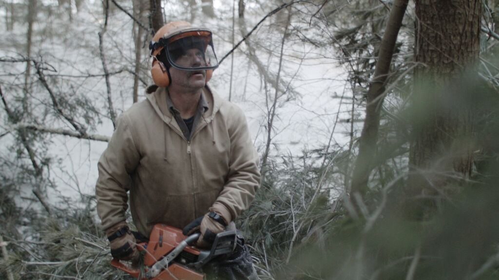 Bob and The Trees
