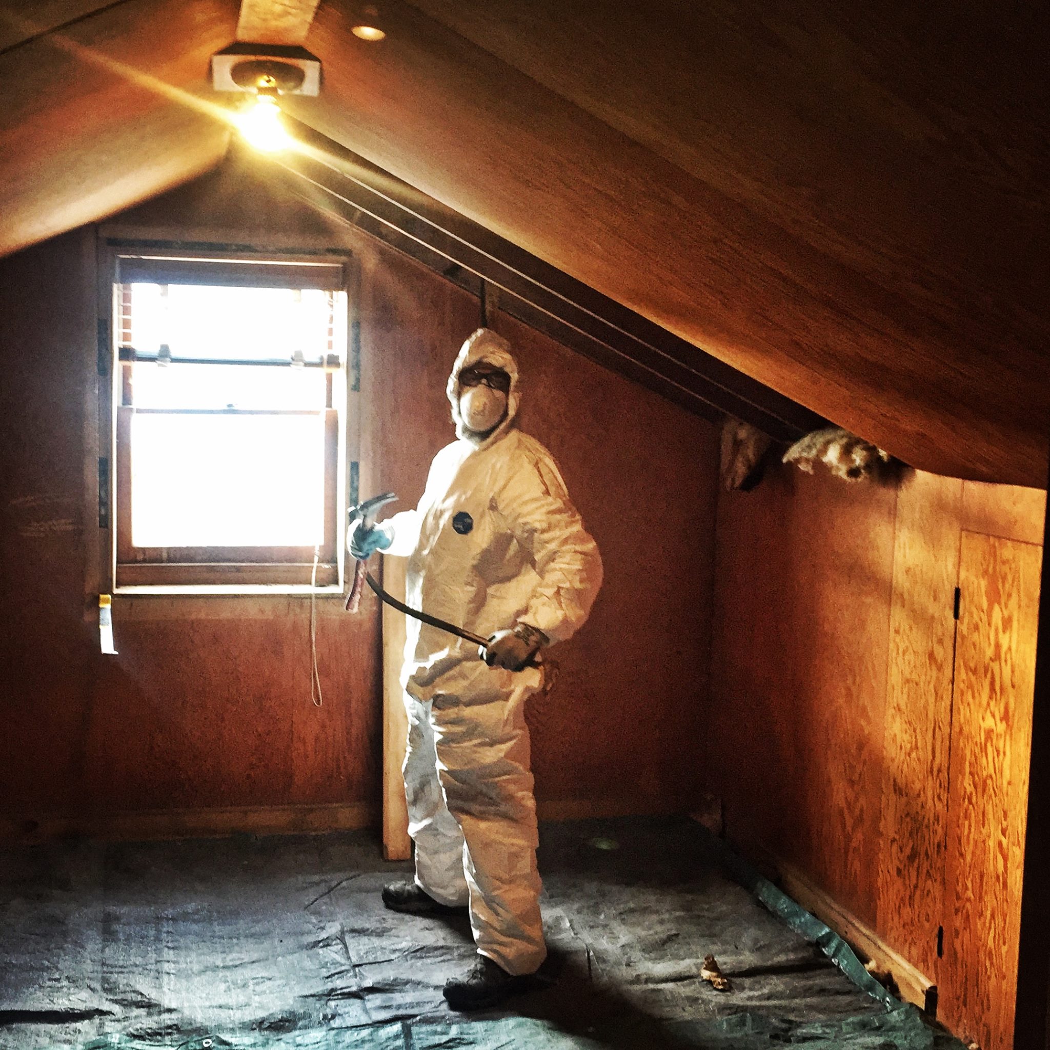 Our contractor starting renovations on the top floor of the film center