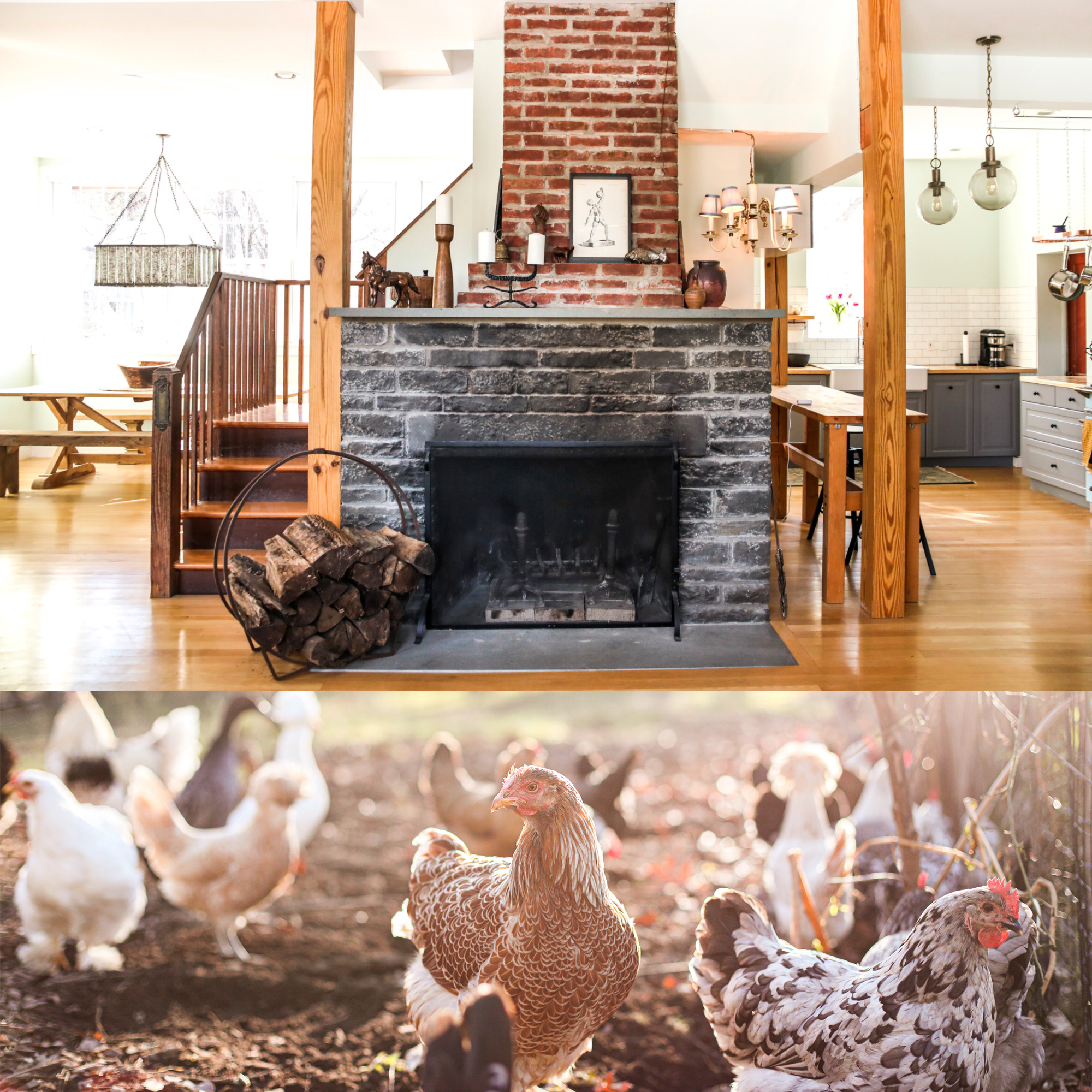 residency thumbnail.png