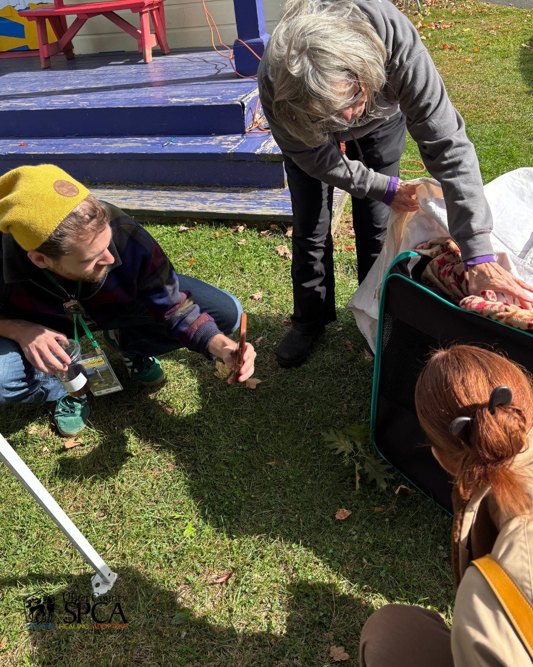 Happy Caturday 😸 Looking to bring home a movie star? The 27th annual Woodstock Film Festival (WFF) is teaming up with the Ulster County SPCA for a special two-day pet
adoption event featuring some adorable four-legged &ldquo;celebrities&rdquo; looki