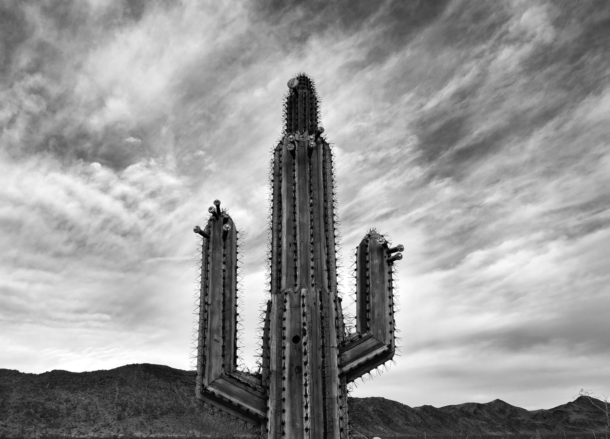 Joshua Tree, CA - 2016