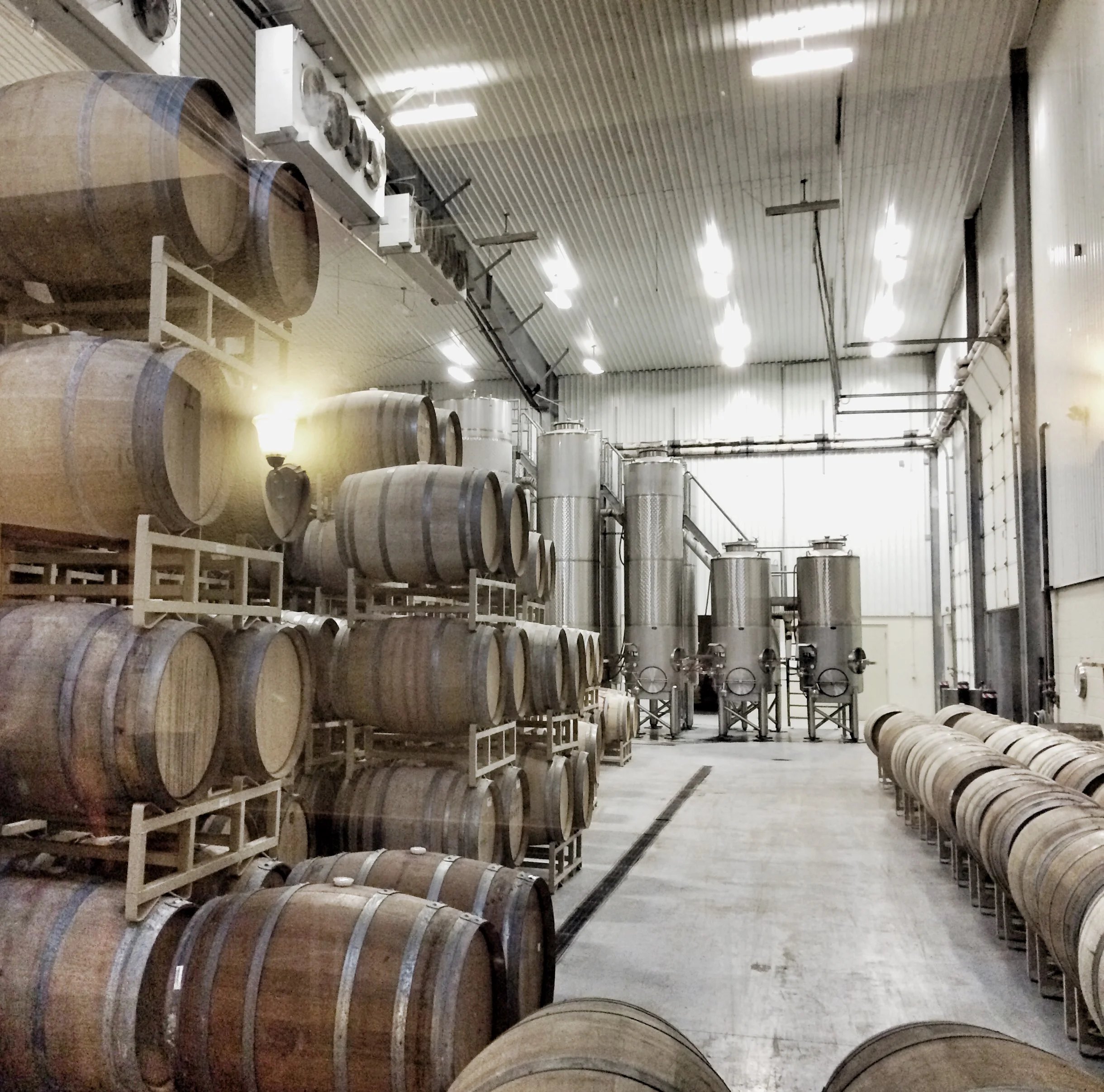 This is part of their facility. They keep these areas at 55° and store all their barrels on property. 