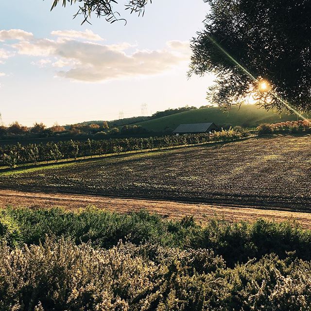 One of my favorite things about wine tasting is the story behind the wines. It&rsquo;s amazing to see where a wine comes from, and what inspires the people who make it. Plus the views are 😍😍😍Thanks @talleyvineyards for a great experience (and a gr