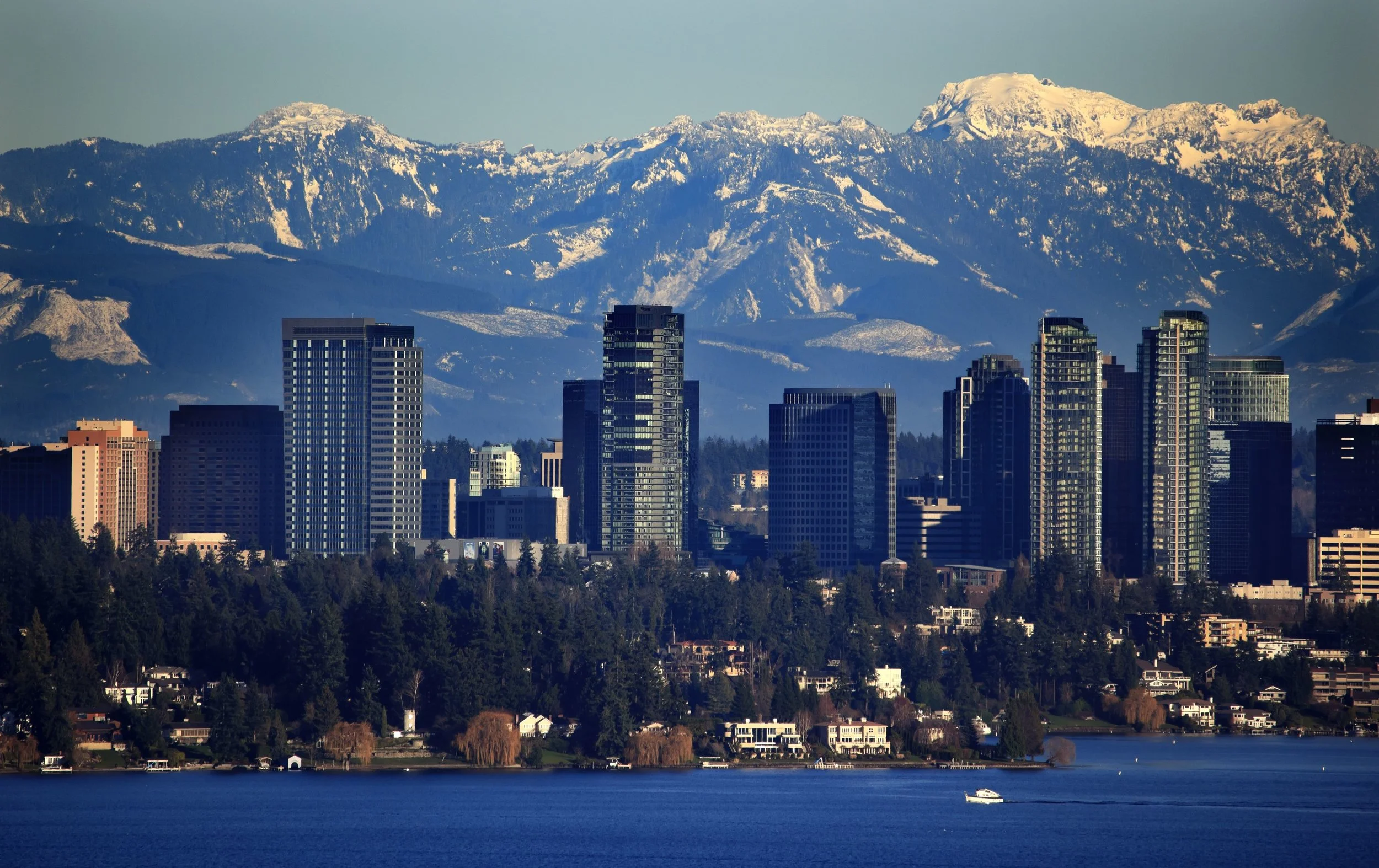 Bellevue Dentist Dentistry in Bellevue
