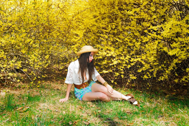 yeller_8b_1000px2.jpg