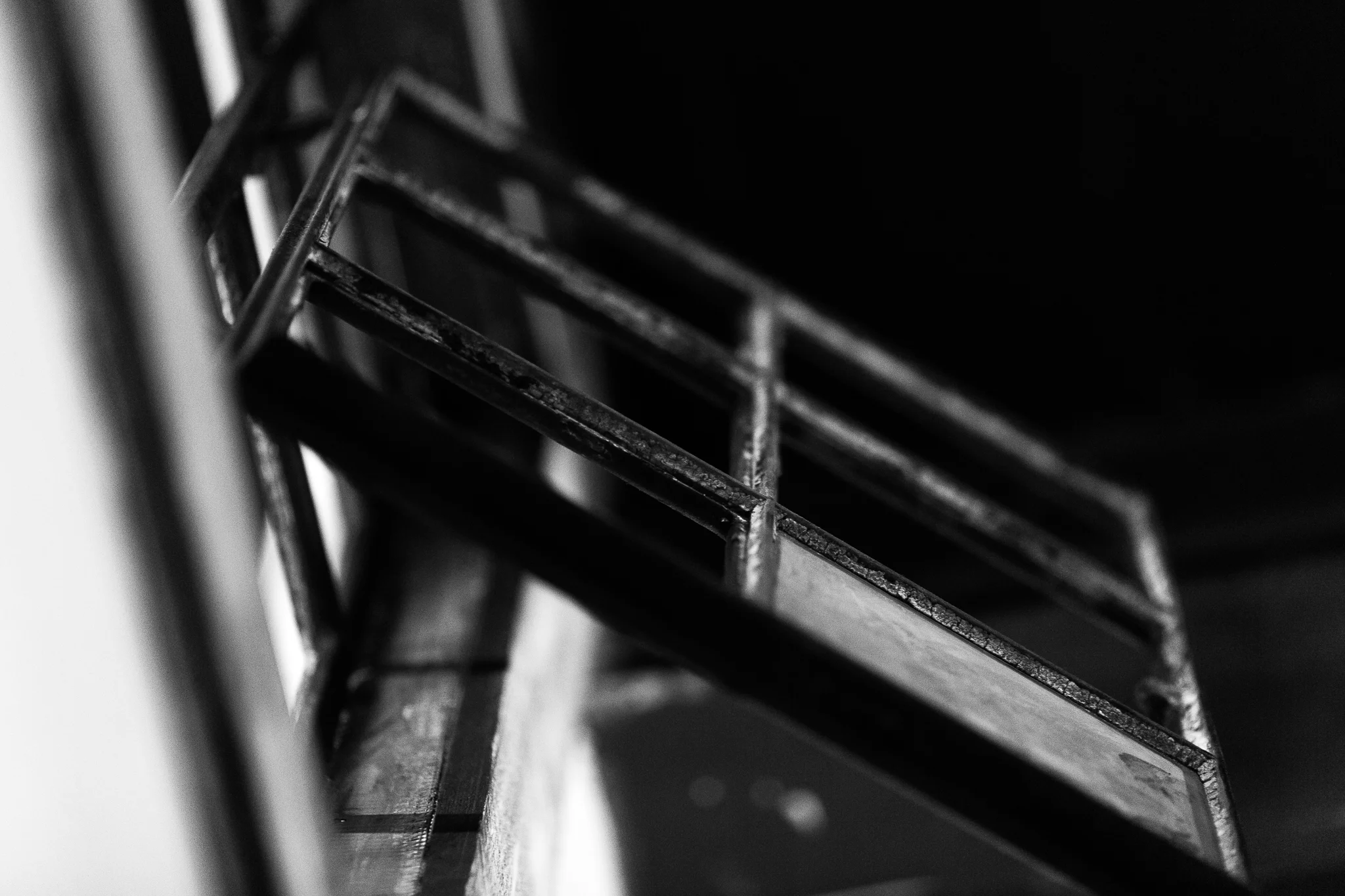 EOS_7279_m.jpg