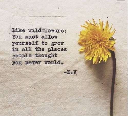 wednesday wisdom.png