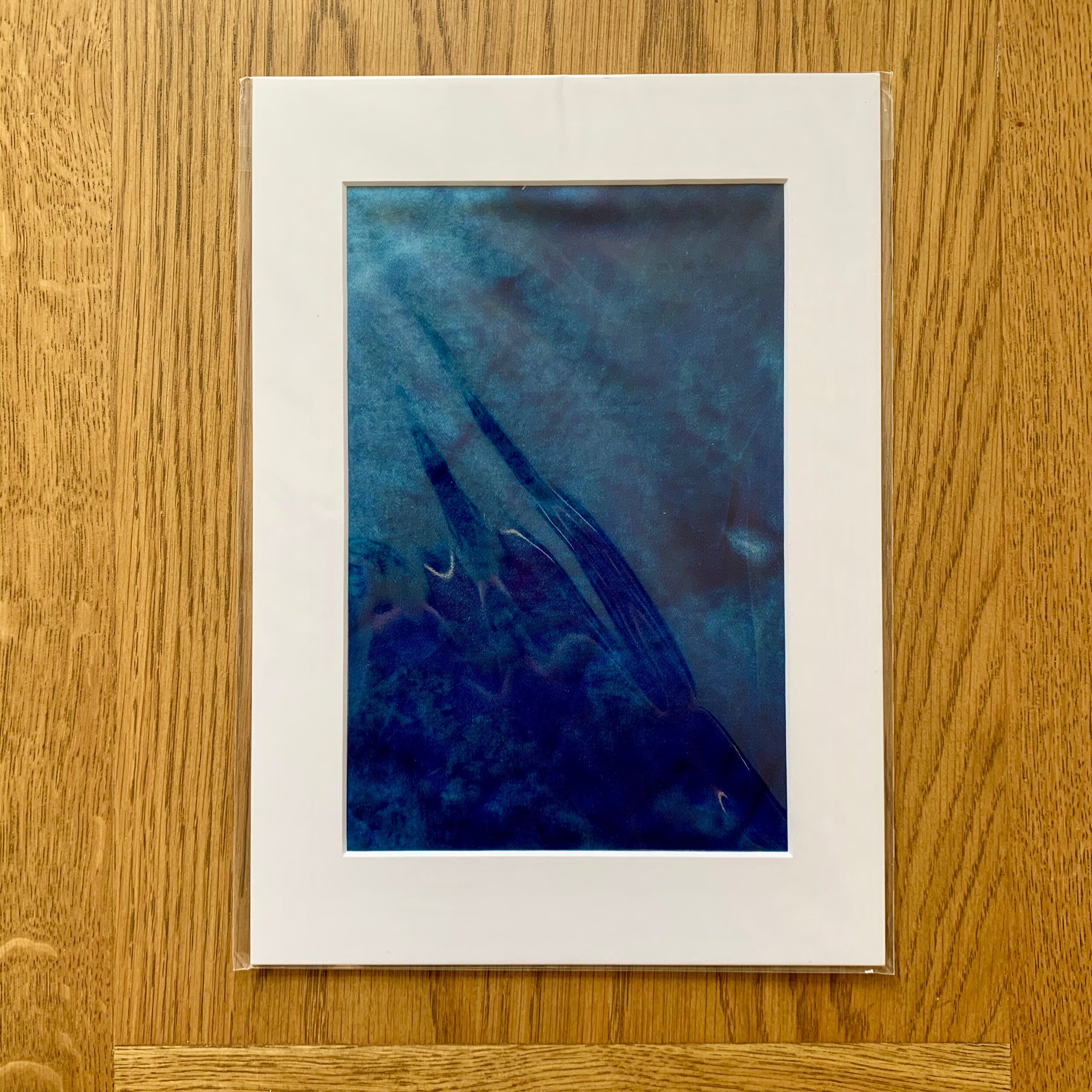 IMG_2015.jpeg