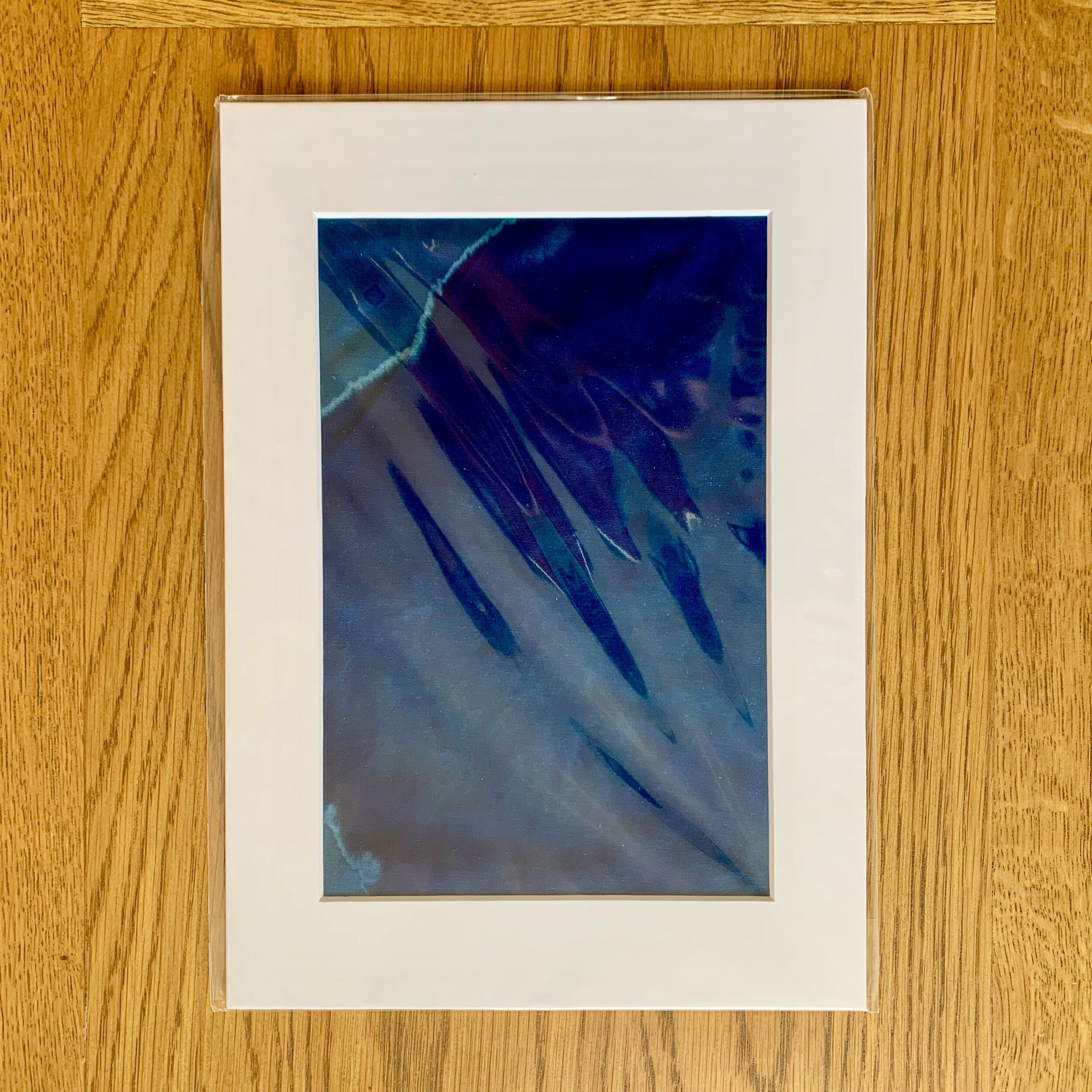 IMG_2018.jpeg