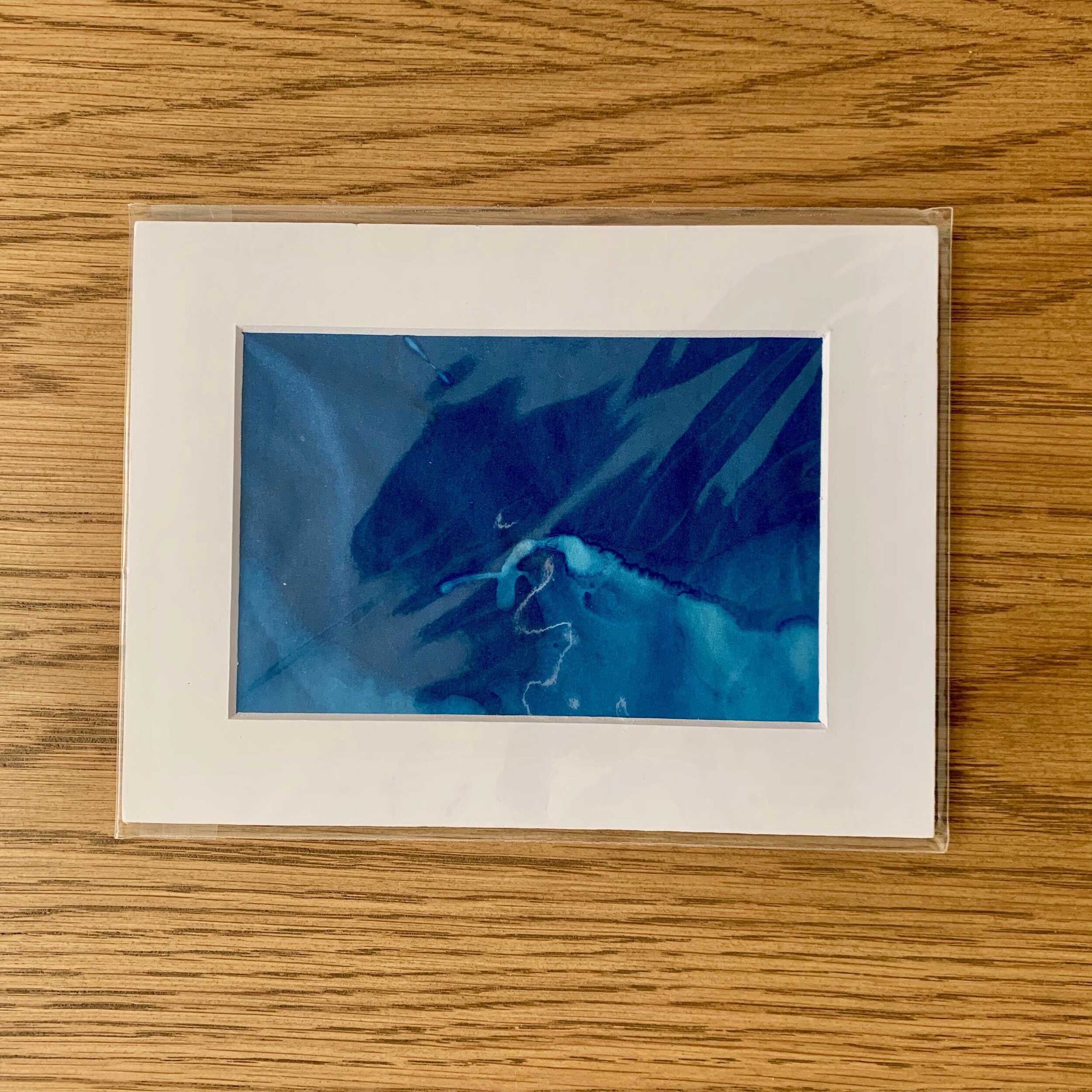 IMG_2047.jpeg