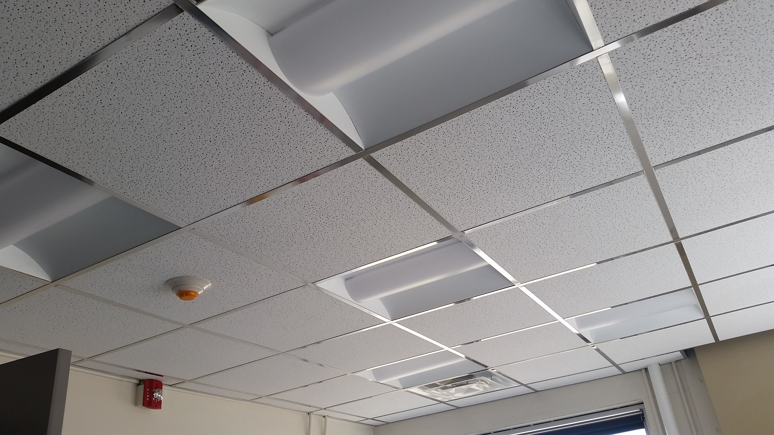 ceiling.jpg