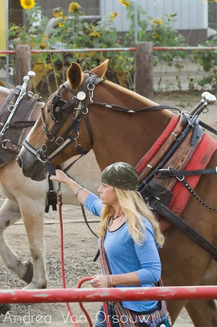 horse_girl.jpg