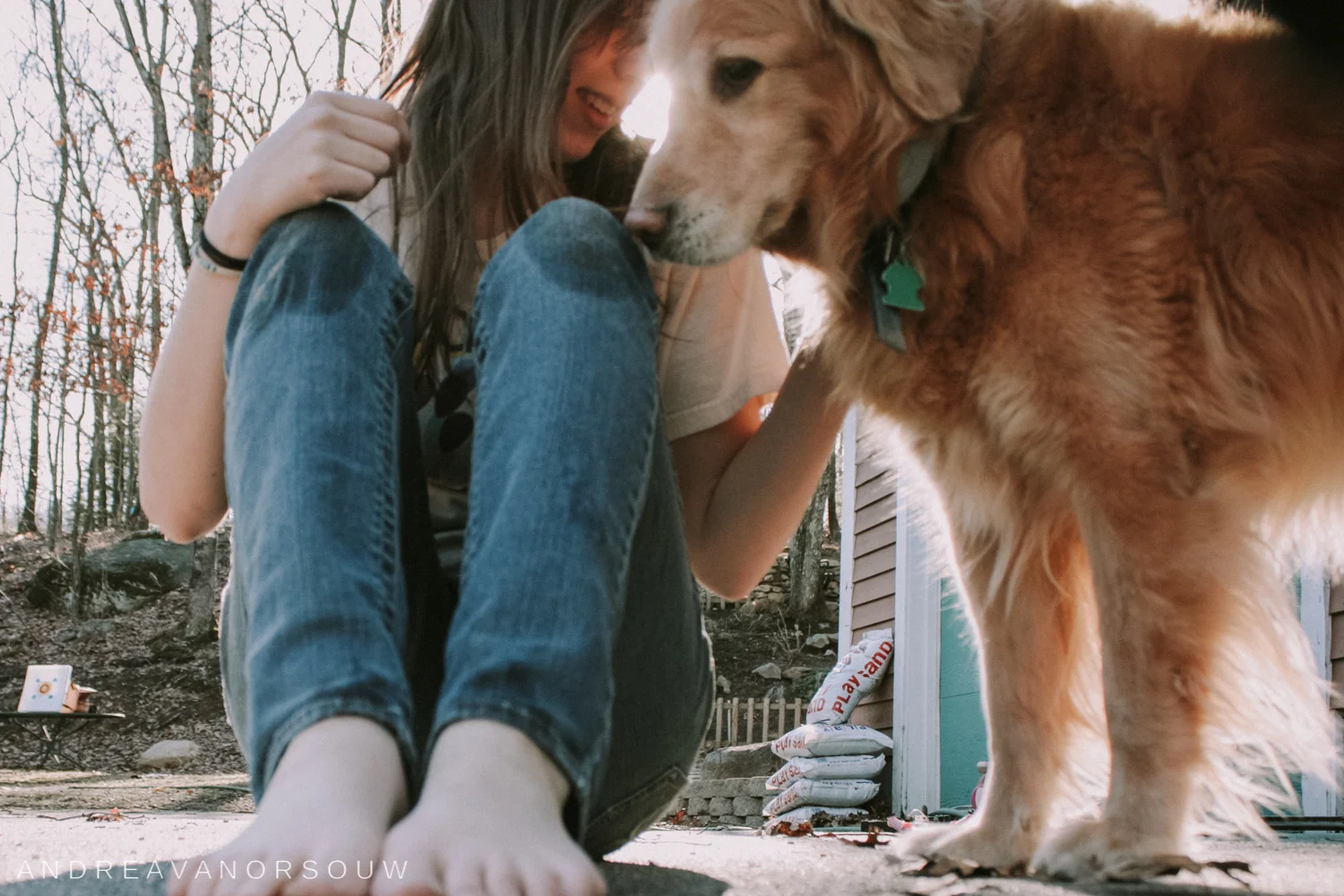 loss_of_pet_dog_elderly_dog_connecticut_photographer_personal.jpg