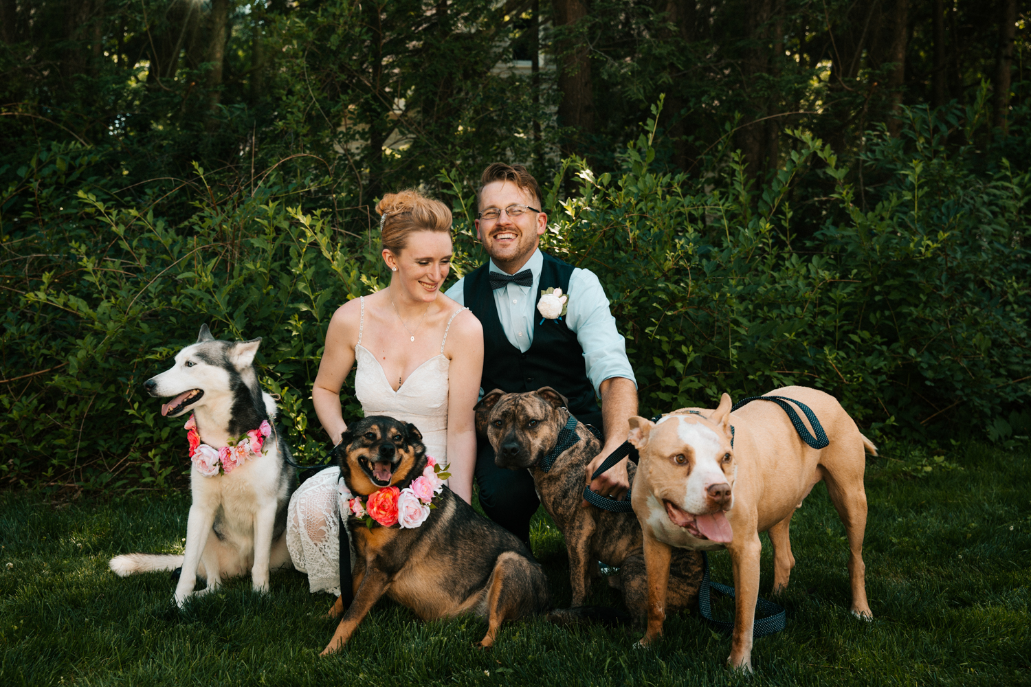bride-groom-puppies-pets-dogs-happy-laughter-new-england-wedding-photographer-granby-connecticut.jpg