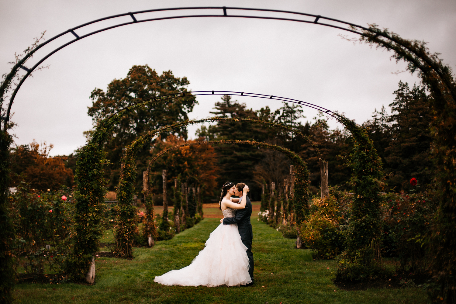 rose-garnde-wedding-elizabeth-park-connecticut-rose-wedding-boston-new-england-photographer.jpg